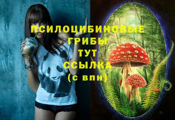 метамфетамин Аркадак