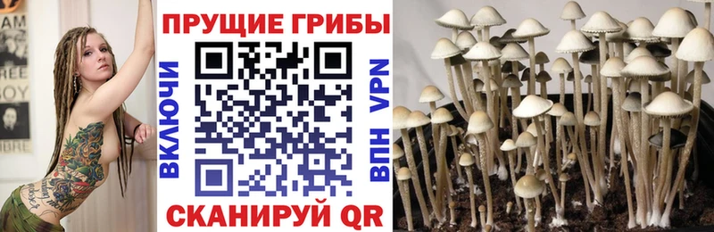 Галлюциногенные грибы мицелий  Рубцовск 