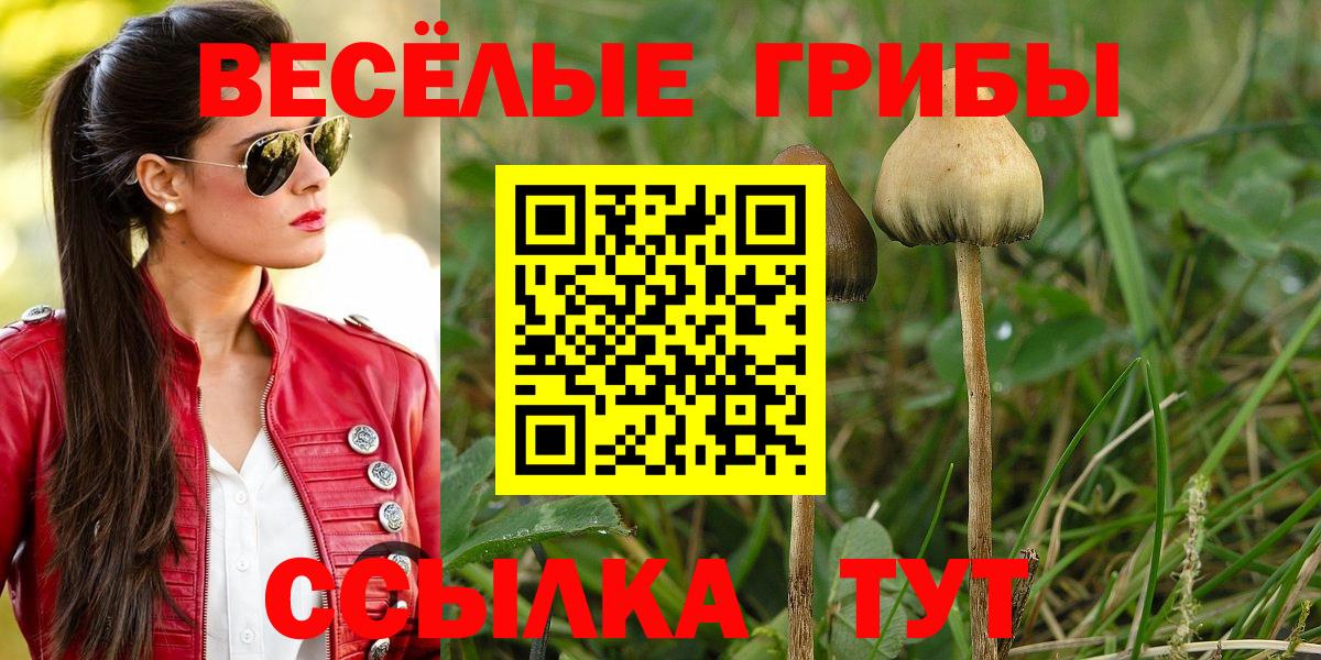 Галлюциногенные грибы GOLDEN TEACHER  Псилоцибиновые грибы ЛСД  Рубцовск  Вход с VPN 